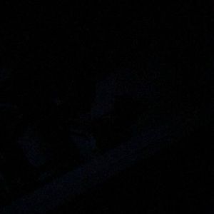 Meet your Posher, Illionna